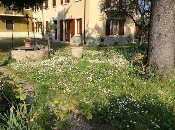 Casa Olinda Apartamento Lazise Exterior foto